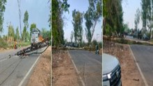 अलवर में अचानक आए अंधड़ ने मचाई तबाही,  पेड़ और बिजली के पोल गिरे .... देखे वीडियो....