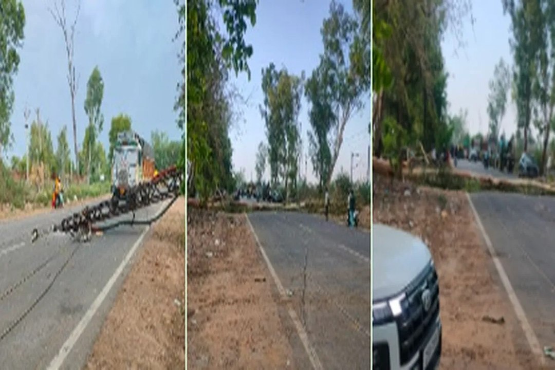 अलवर में अचानक आए अंधड़ ने मचाई तबाही,  पेड़ और बिजली के पोल गिरे .... देखे वीडियो....
