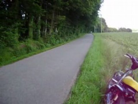 ** Derbi Airsal D.50 **