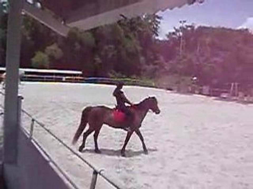 Eclatage 047