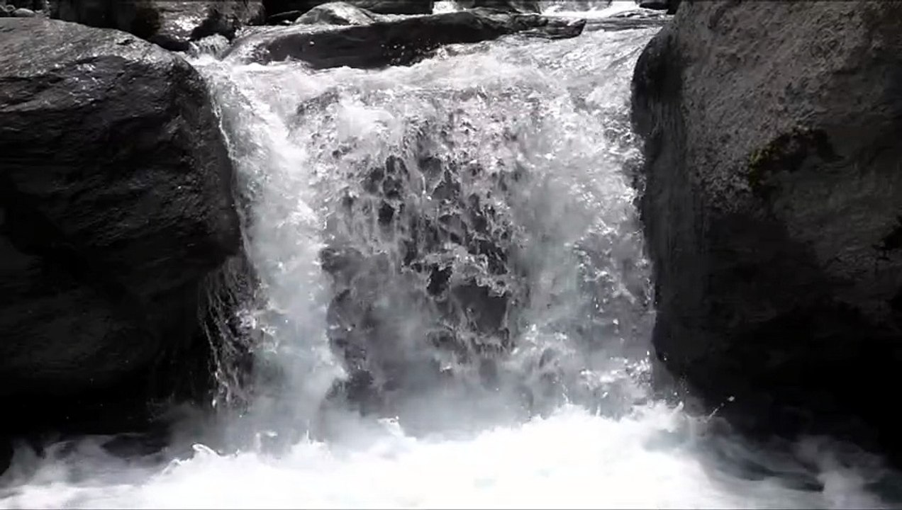 Calm Study Music for Focus and Relaxation – Peaceful 1 Hour