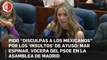 "Es una política de ultra que no sabe su lugar en el mundo": PSOE pide disculpas a México por insultos de Ayuso