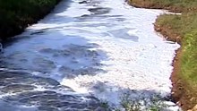 Espuma é registrada no Rio dos Sinos