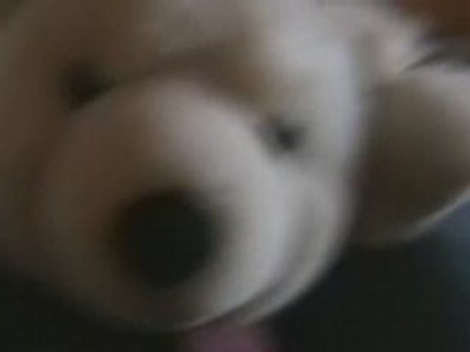 Du grand n'importe quoi chez jean...