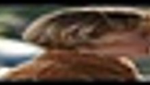 ...Beef ...S02E05 [Full Movie] [Watch Free Online]Full EP - Full