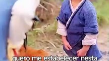 Dos Tronos àS Patas E Penas Dramax