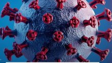 La OMS confirma cinco casos de hantavirus y advierte que puede haber más