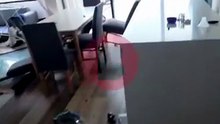 Volvió a su departamento después del temporal y lo encontró destruido