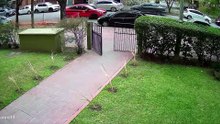 Robaron una moto en la zona de la Terminal y familiares de la víctima piden ayuda para recuperarla