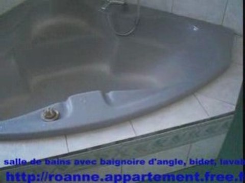 appartement a vendre vends appartement roanne T2 51m² - vendu en gain par pierre aribaut alias zetrader