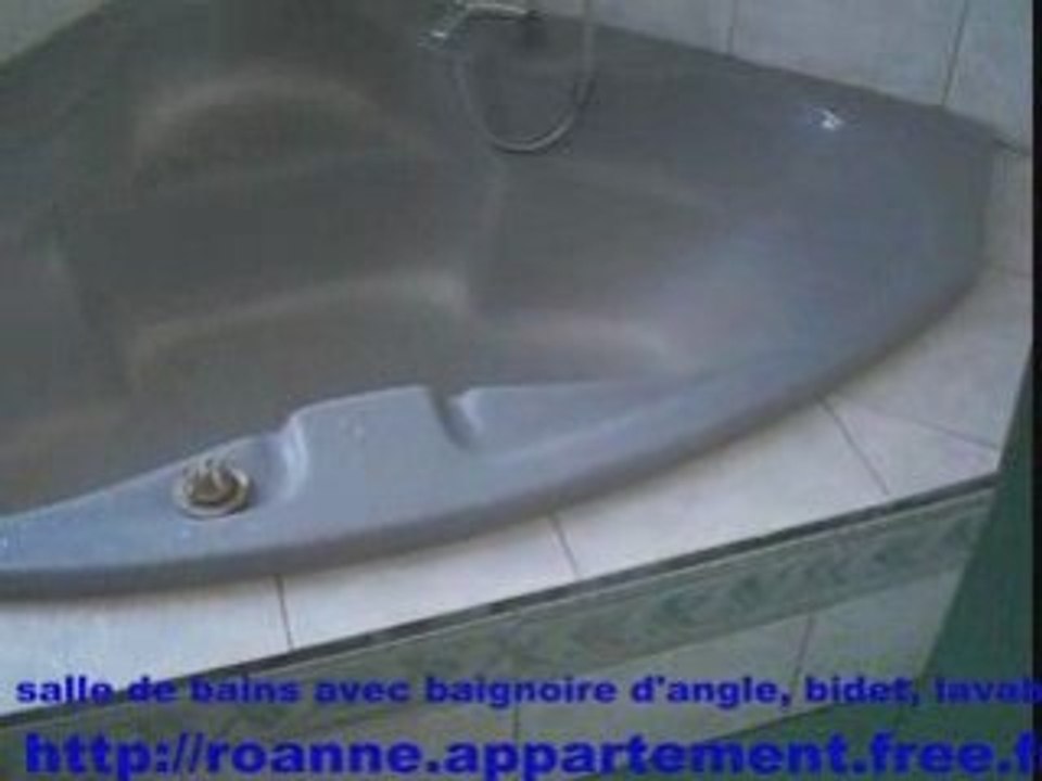 appartement a vendre vends appartement roanne T2 51m² - vendu en gain par pierre aribaut alias zetrader