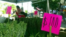 Gasto promedio por Día de las Madres en ZMG es de mil 638 pesos en promedio: Canaco