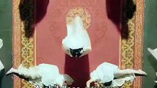 The empress who bore kittens