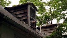 T a s k . S 0 1 E 0 1 . 5 4 0 p . X 2 6 5 . A A C [Full Movie] [Free Online HD]Full EP - Full