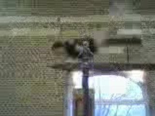 Soleil barres vidéo gags