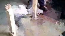 Медитативная работа с деревом шаг за шагом