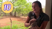 Work On The Wild Side S02E10 Episode 10 Engsub