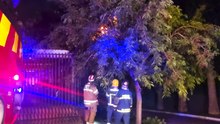 Incêndio em rede elétrica mobiliza bombeiros e deixa moradores em alerta no Bairro Canadá