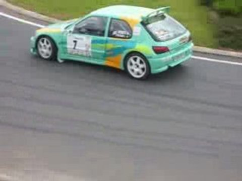 306 maxi rally des vins macon 2008