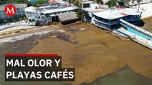 Turistas abandonan Playa del Carmen por la invasión de sargazo y el mal olor