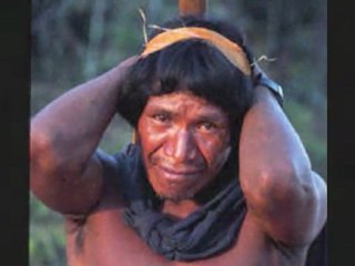 Amazonia cut the last people