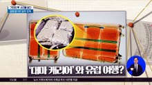 엑스레이 찍었더니…마약을 옮긴 여행객들