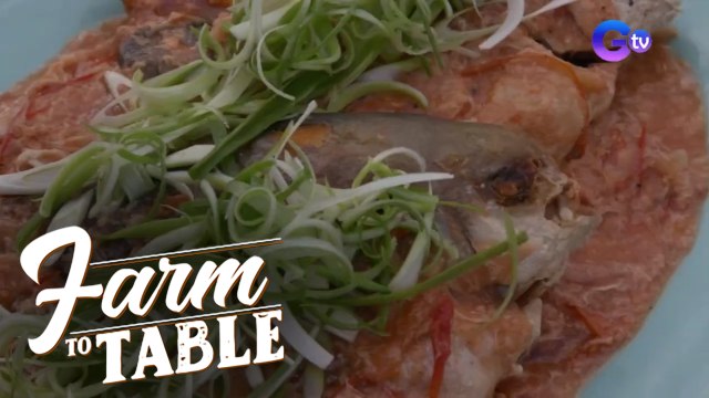 Celebrating TOMATOES with the classic Sarciado! | Farm to Table