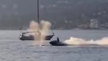 Jetskifahrer stößt mit Wal zusammen