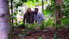 Vaazha 2: Biopic of a Billion Bros Malayalam Movie