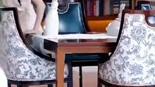 The Meme Queen's Novel Adventure 2 [Full Movie] [Long Version]Full EP - Full