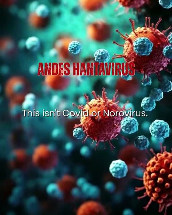 Cruise Ship Hantavirus Outbreak | MV Hondius | Virus | Covid | Norovirus | Rodent Droppings | Person-to-Person | Close Contact | 8-week incubation Window | Global Health Hunt | Britain | Spain | Quarantine | WHO | World Health Organization | Rare Regional