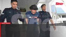 Lelaki Kemboja tebang, curi pokok gaharu