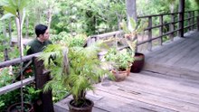 The Heart of Yiwha- Of Love & Vengeance Episode 14- Siam Cinema Hub
