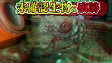 世界で目撃された 未確認生物の痕跡
