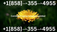 【Full】℠ [*List] of Coinbase Toll Free nUmbers in the USA: The Ultimate Explained Guide