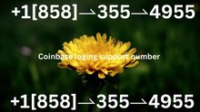 !!!!Complete List of Official Coinbase Customer Service Number, HELP-DESK Helpline 24/7