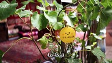 أغنية حب الحلقة 06 Arabic Sub