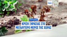 Ειδήσεις | 8 Μαΐου 2026 - Μεσημβρινό δελτίο