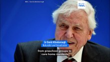 A century of change: Planet Earth through David Attenborough’s eyes as global treasure turns 100