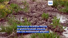 Groźna susza na Wegrzech. Krytyczny poziom wód