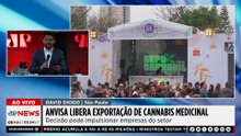Anvisa libera exportação de cannabis medicinal