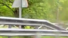 Dos osos sorprenden a los conductores entre Villager y Orallo