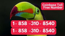 ↳《{Complete》]™[*List] of Coinbase Toll Free nUmbers in the USA: The Ultimate Explained Guide