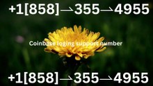 Coinbase™ CuStomer SuPPoRT™ USA Help Desk™ Number: 2026 Contact Numbers