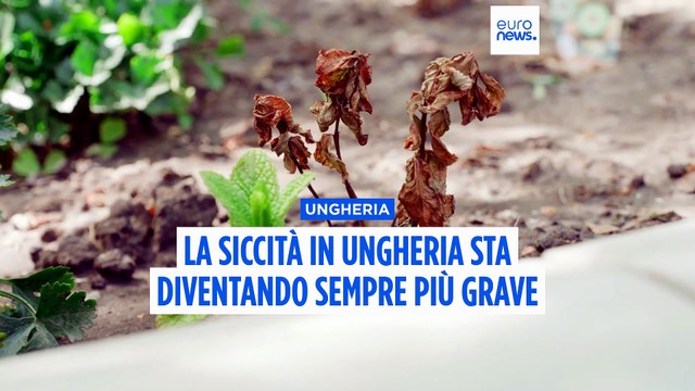Ungheria, peggiora la siccità: pianure polverose, fiumi e laghi in secca