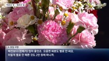 카네이션 매출 ‘뚝’…‘개네이션’은 불티
