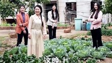 替婚新娘，山里来的小福宝-00.00.00.000-01.03.36.367