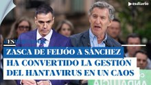 Zasca de Feijóo a Sánchez: ha convertido la gestión del hantavirus en un caos | ESdiario