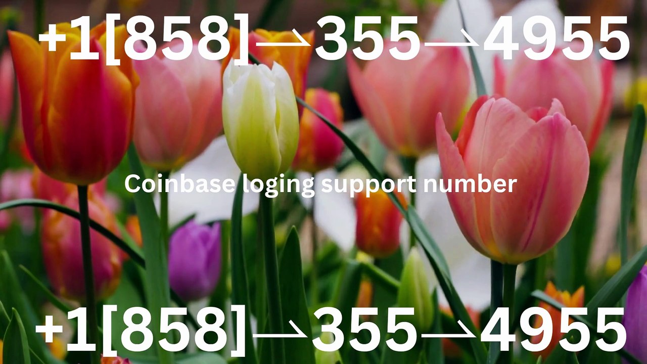 !!!!Complete List of Official Coinbase Customer Service Number, HELP-DESK Helpline 24/7