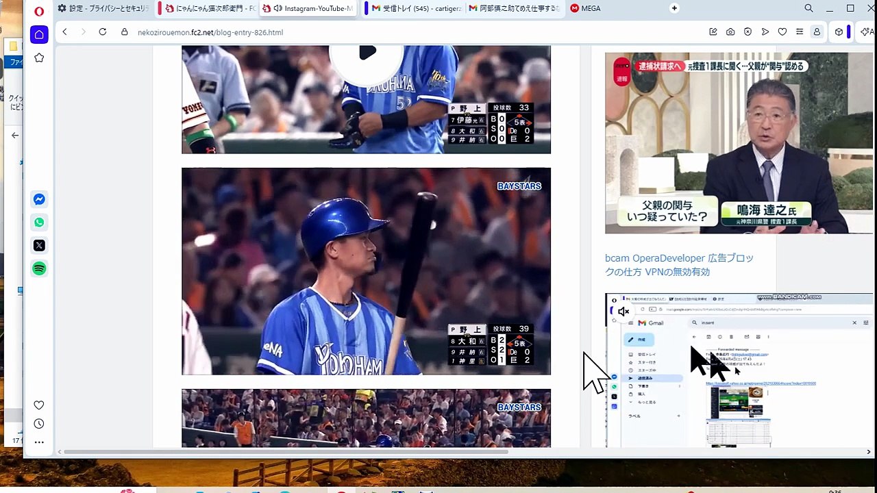 Instagram YouTube Mega Facebook 埋込動画確認